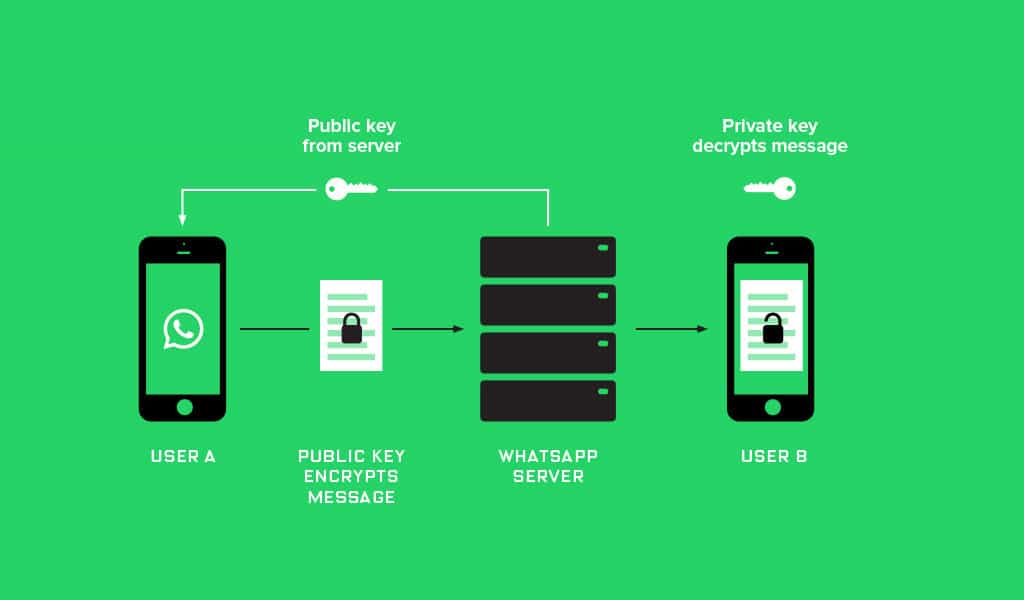 WhatsApp uses what’s called public key encryption: To send a message to User B, User A asks a WhatsApp server for a public key that applies to User B. User A then uses the public key to encrypt the message. User B’s private key—only available on User B’s phone—decrypts the message. WIRED